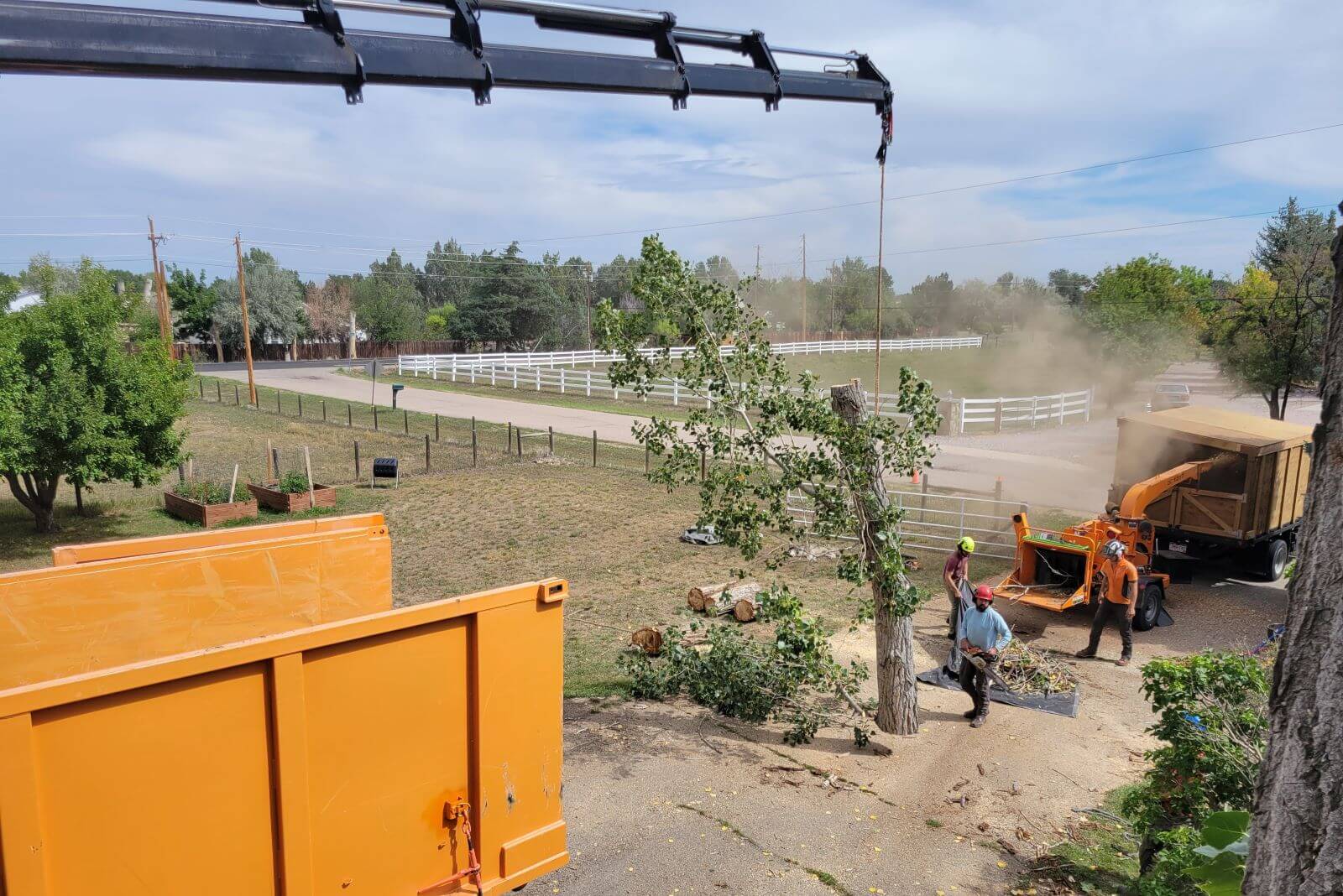 Trusted Tree Removal - Longmont, Loveland, Boulder Colorado