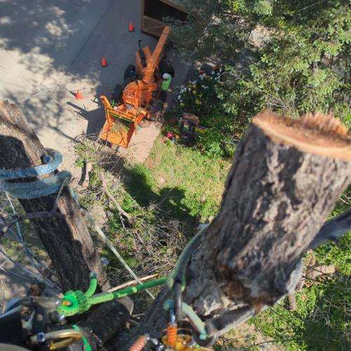 Tree trimming equipment viewed from above.
