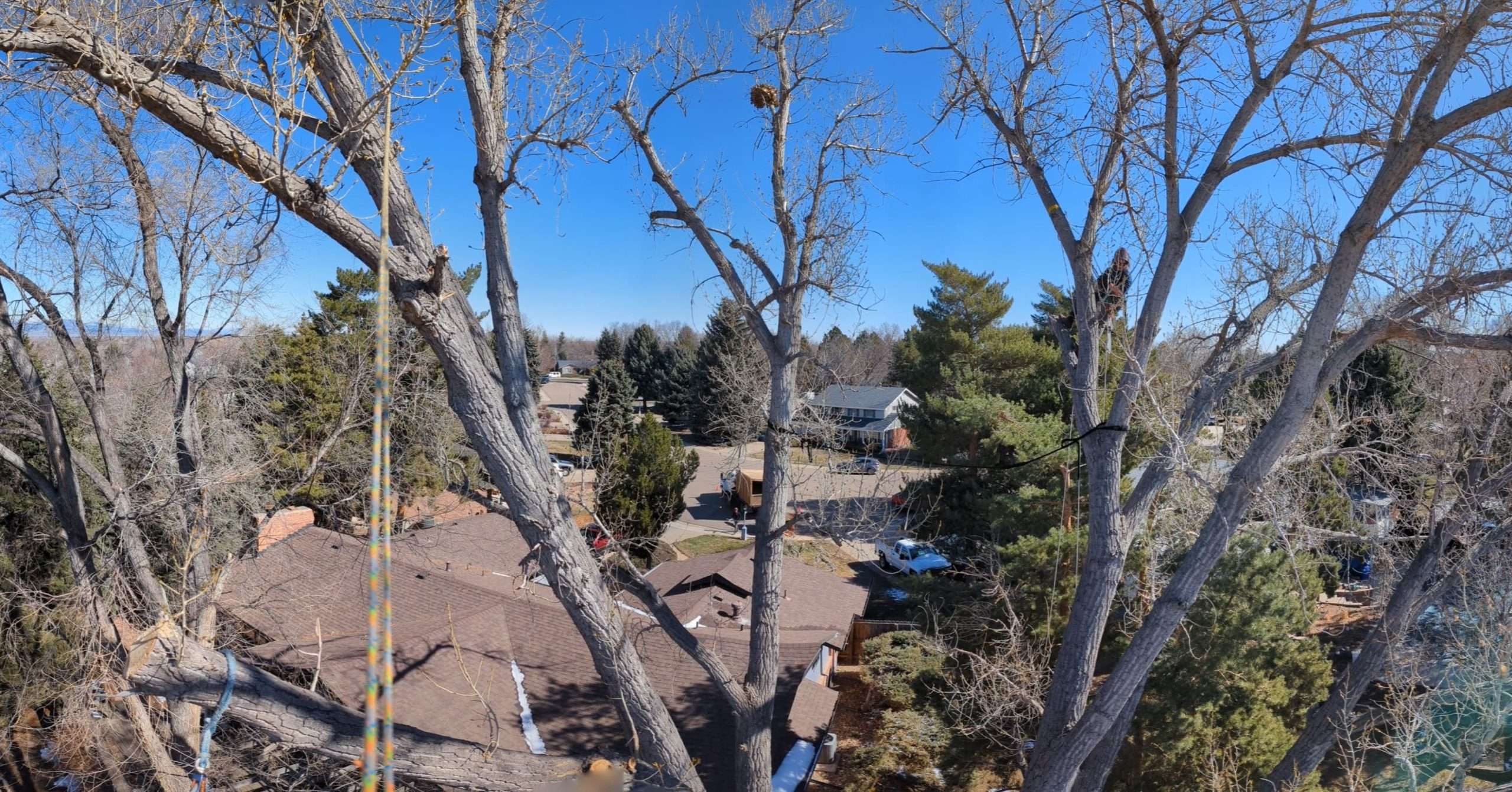 Aerial view of houses surrounded by trees
