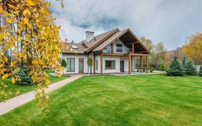 Exclusive Guide to Professional Tree Service for Property Managers
