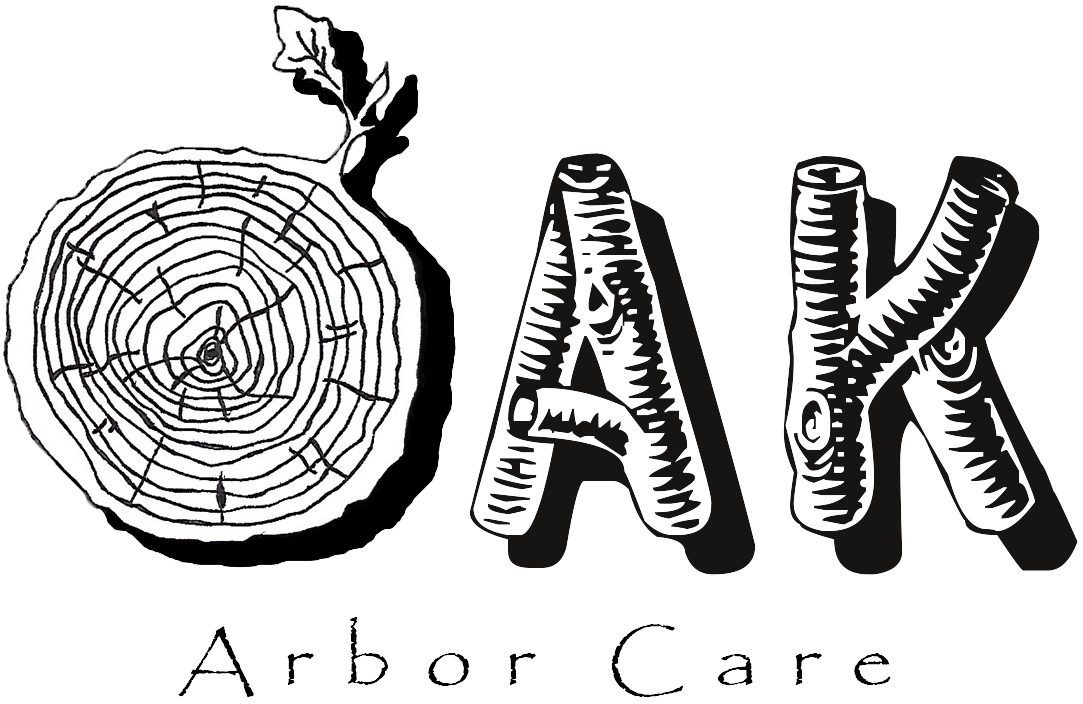 Oak Arbor Care logo featuring tree trimming, pruning, and tree care elements
