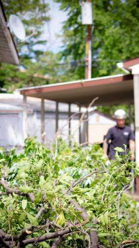 Man working near trimmed branches in a yard.